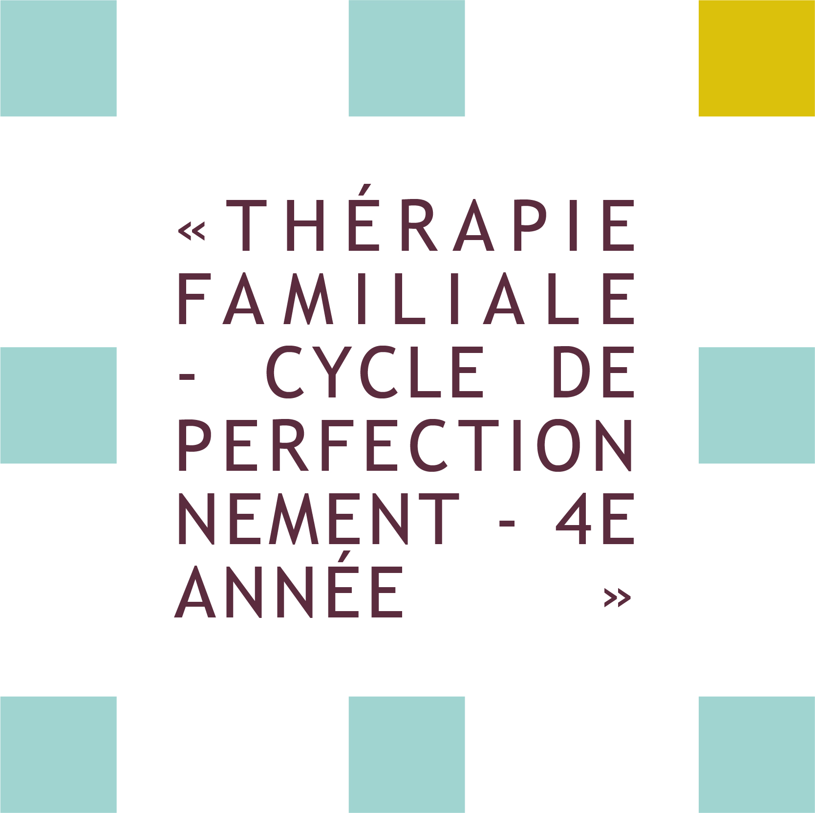 formation thérapie familiale -cycle de perfectionnement 4ième année