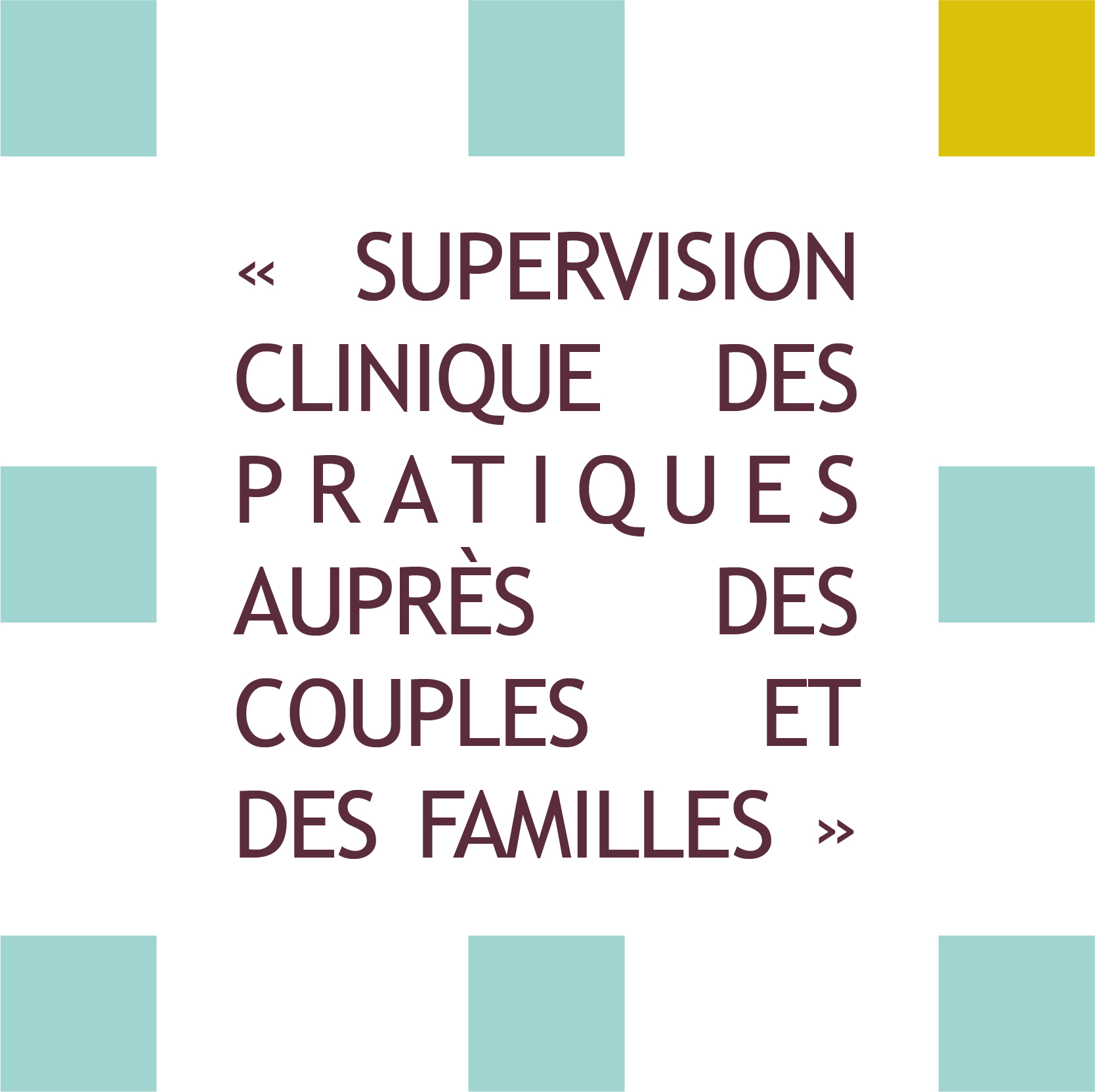 formation supervision clinique des pratiques auprès des couples et des familles