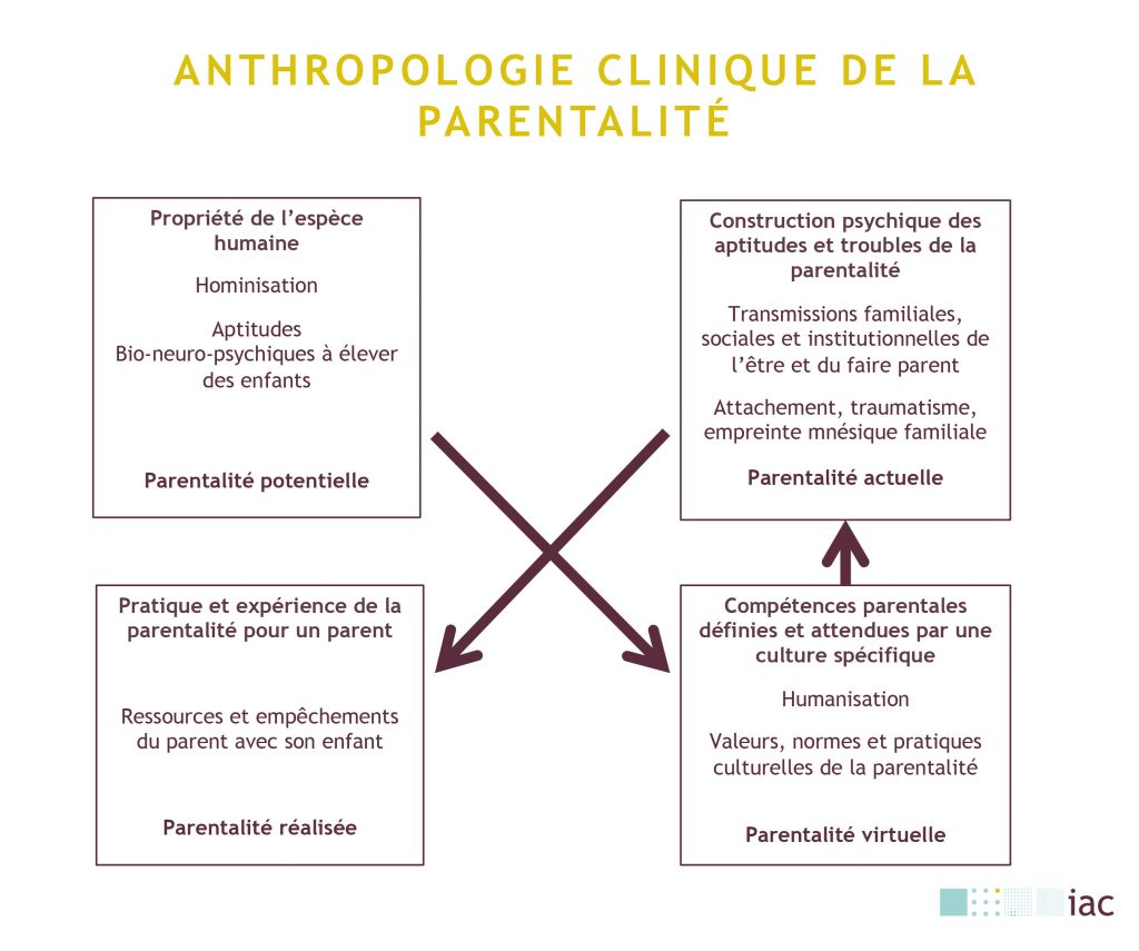 anthropologie clinique de la parentalité schéma