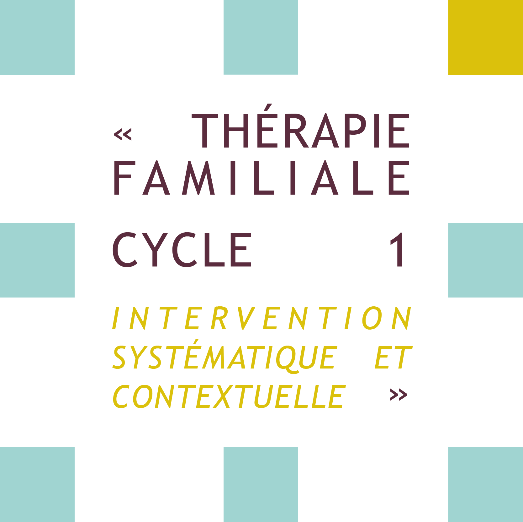 Thérapie familiale cycle 1