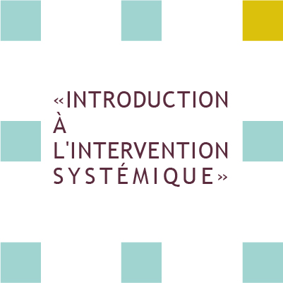 formation inroduction à l'intervention systémique